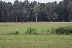 IMG_1645