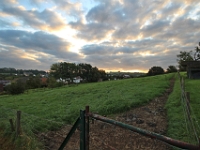 IMG 4374  Schin op Geul