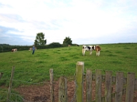 IMG 4380  Schin op Geul