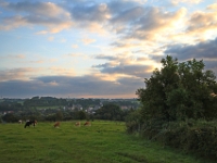 IMG 4384  Schin op Geul