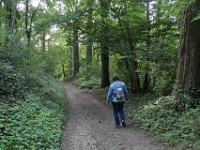 IMG 4433  Schin op Geul